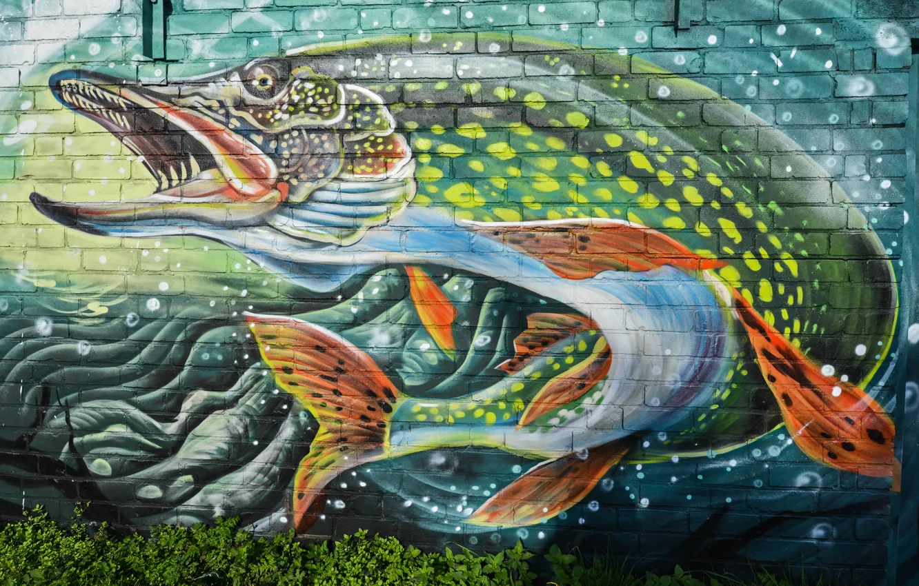 Photo wallpaper wall, graffiti, fish, pike