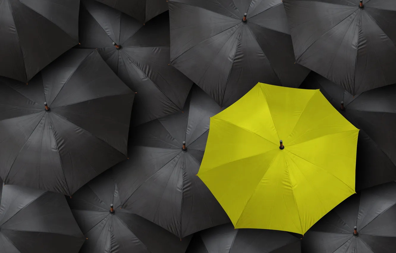 Photo wallpaper black, yellow, umbrella