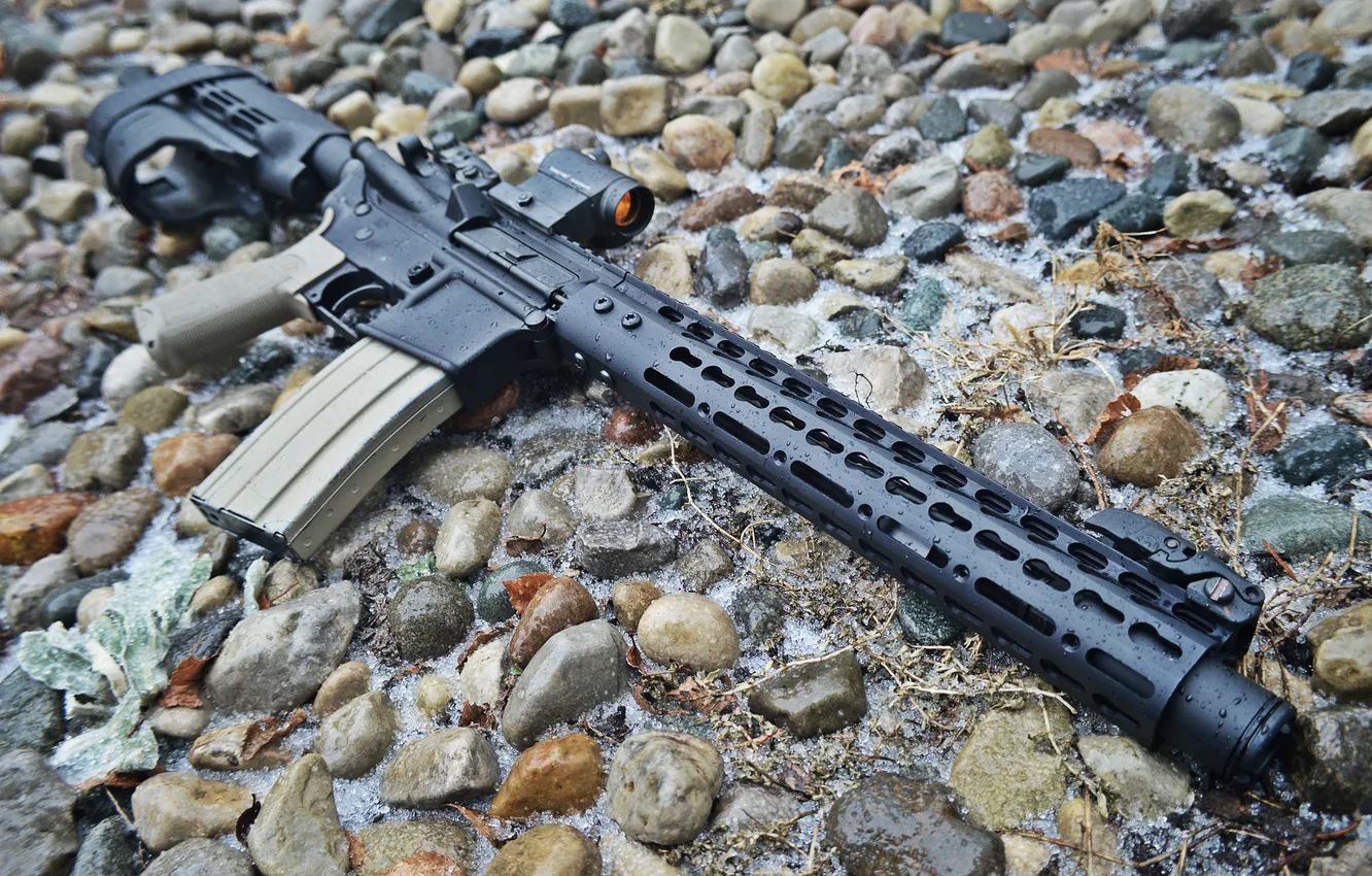 Photo wallpaper weapons, carabiner, assault rifle