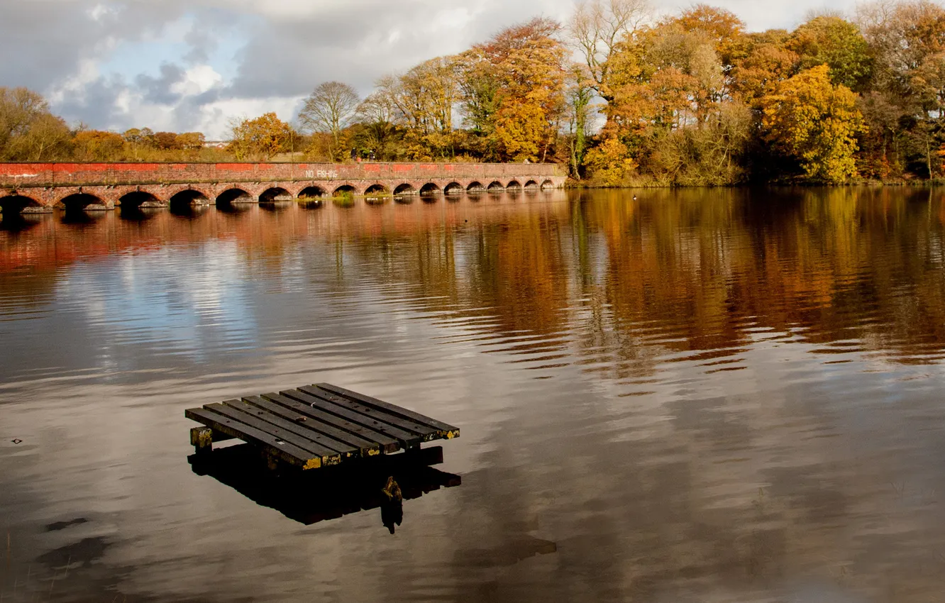 Photo wallpaper trees, bridge, river, Board, arch, the raft