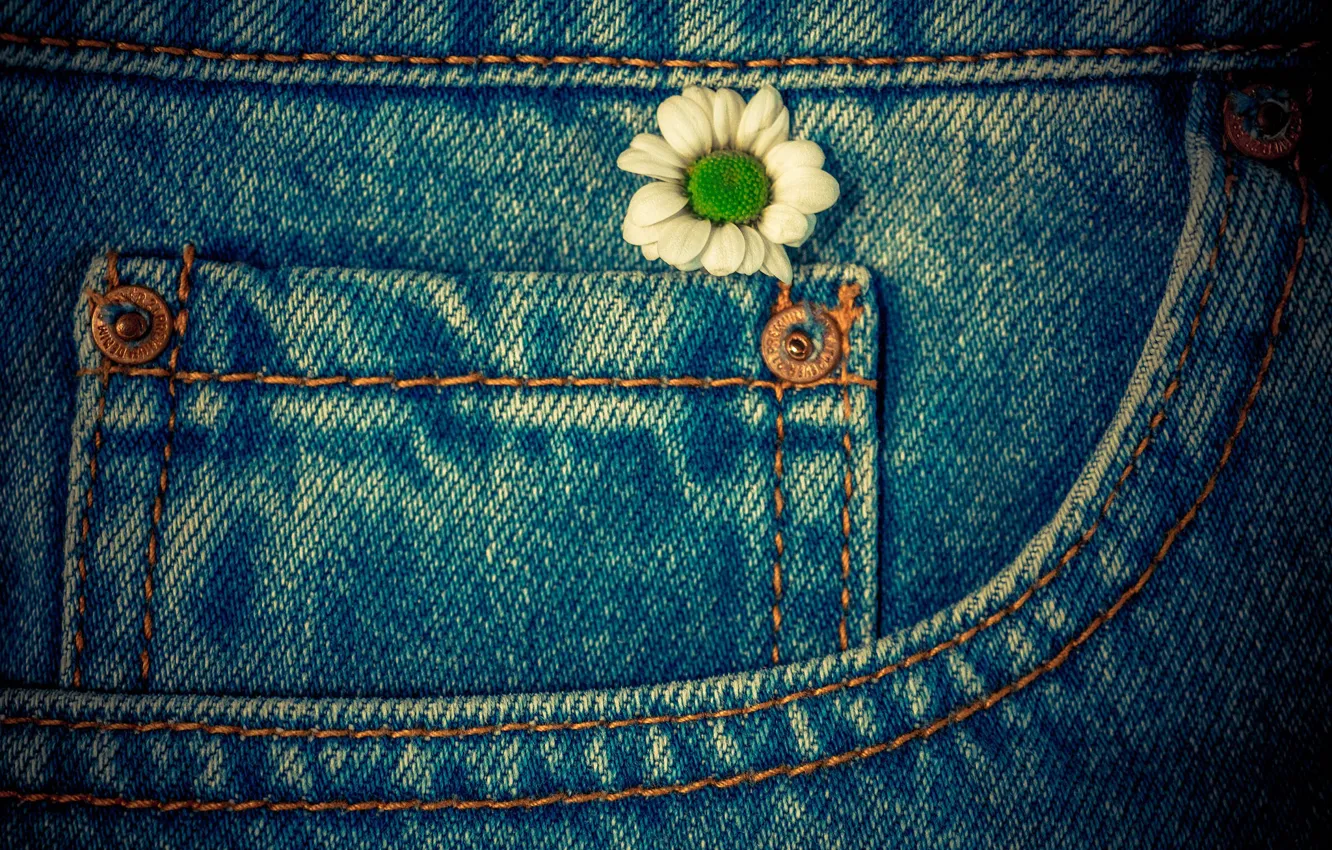 Photo wallpaper macro, flowers, jeans