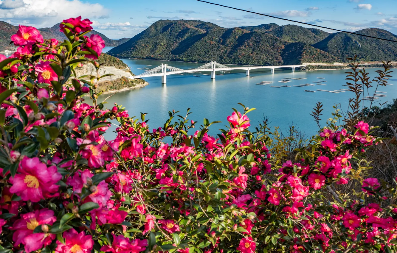Photo wallpaper flowers, mountains, bridge, Strait, Japan