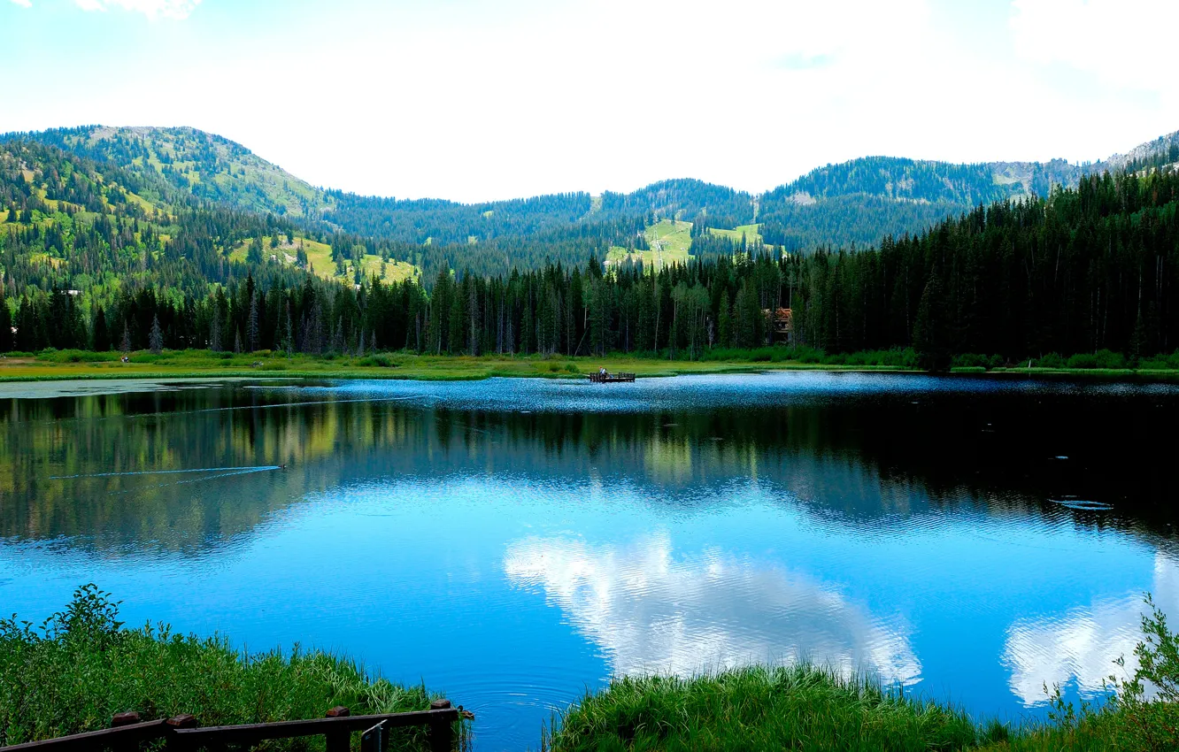 Photo wallpaper forest, mountains, lake