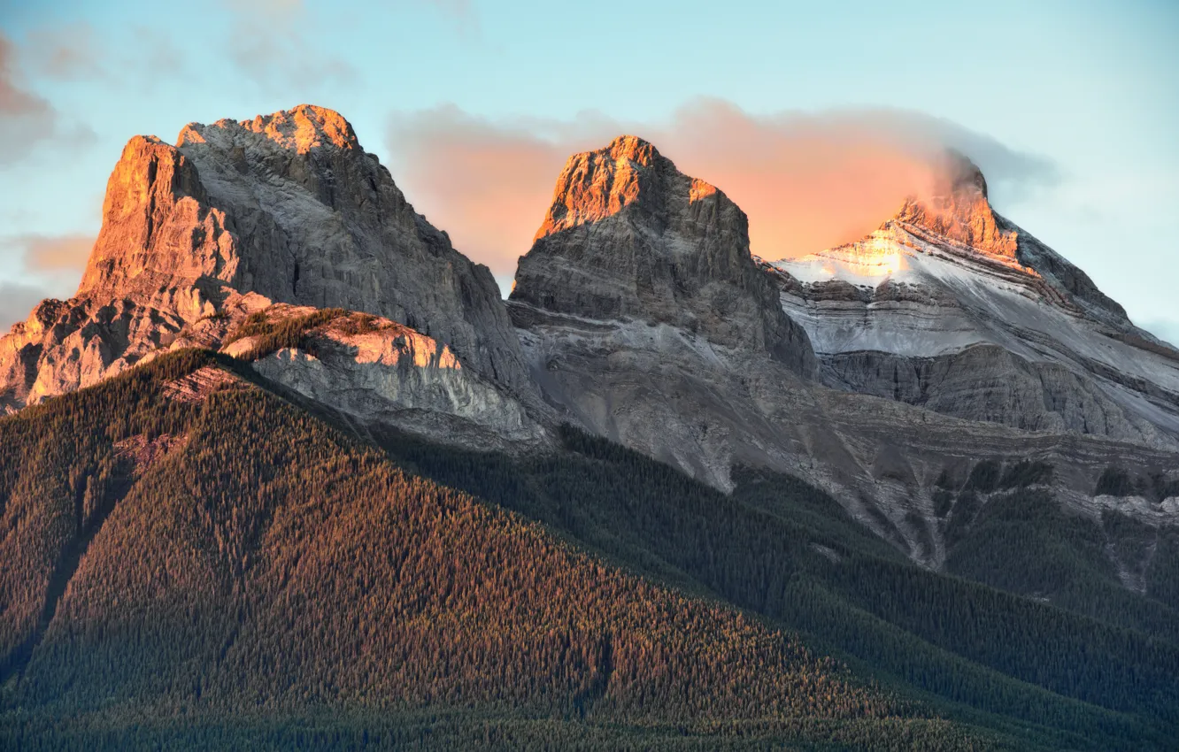 Photo wallpaper forest, clouds, landscape, mountains, nature, rocks, tops