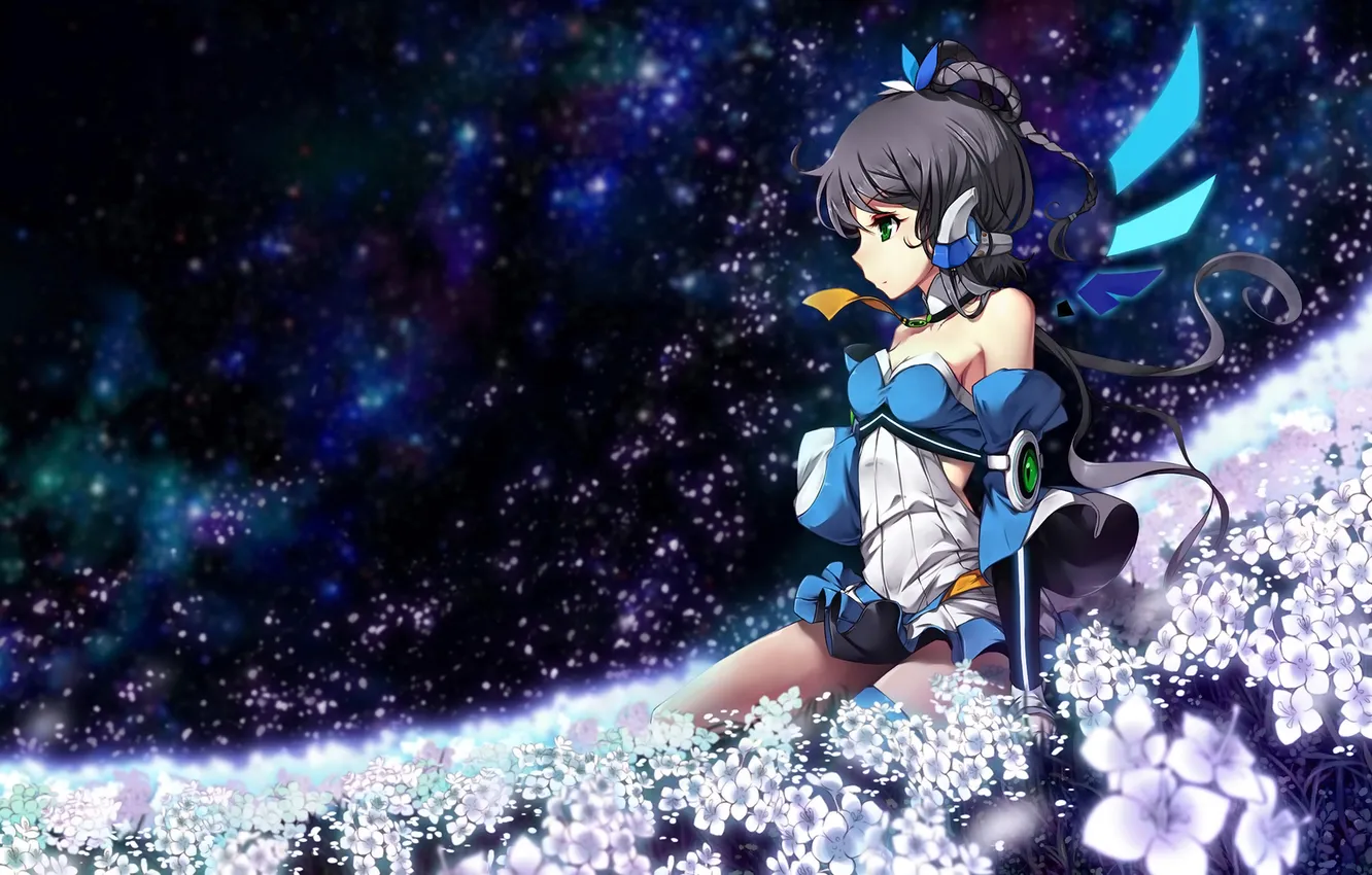 Photo wallpaper field, the sky, girl, stars, flowers, night