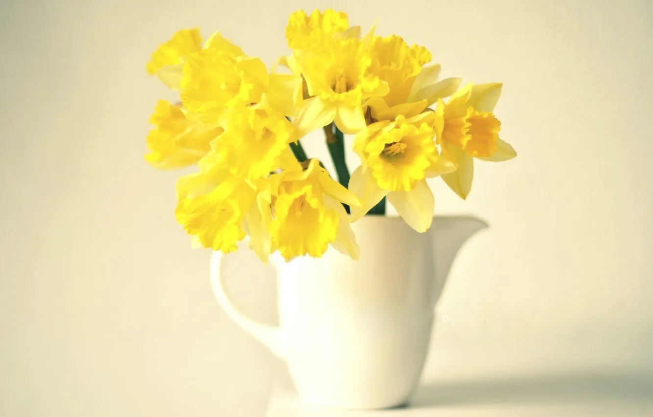 Photo wallpaper flowers, yellow, background, daffodils