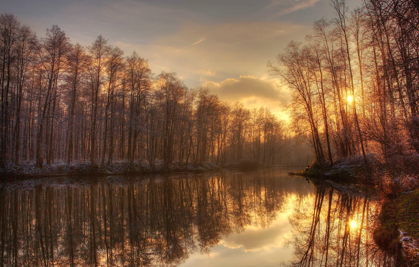 Photo wallpaper water, trees, nature, river, mirror