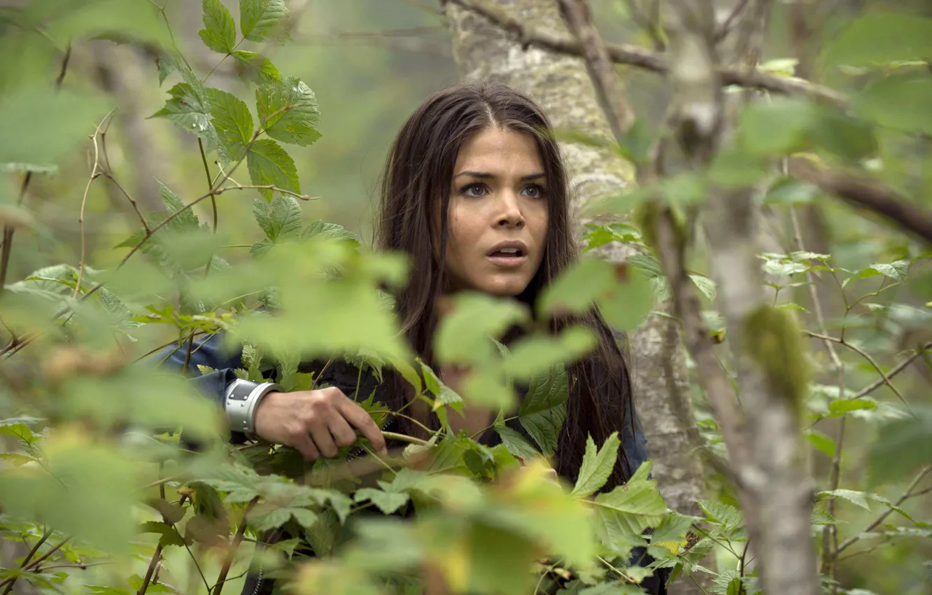 Photo wallpaper forest, look, hair, the series, 100, Marie Avgeropoulos, The 100, hundred