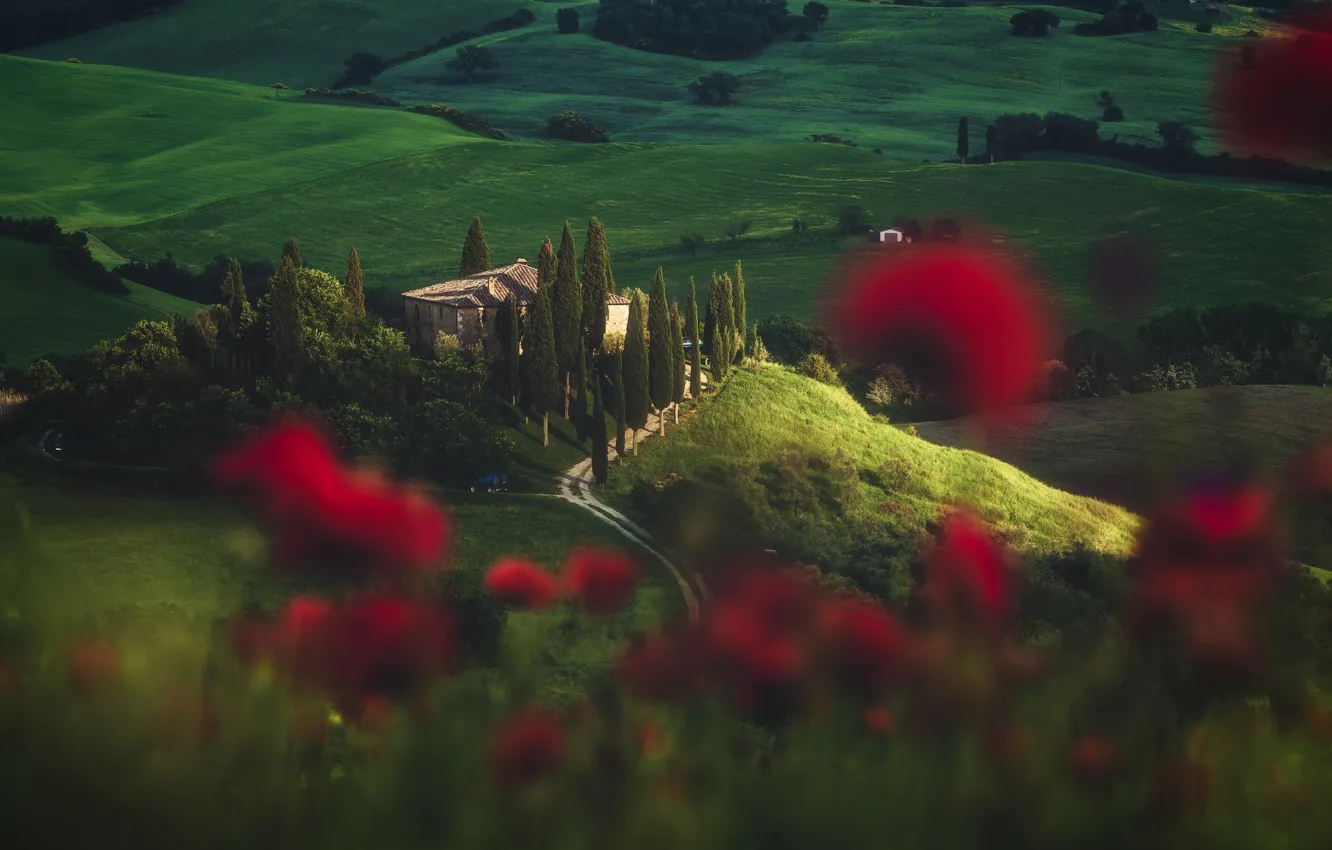 Photo wallpaper machine, summer, flowers, Italy, estate, Tuscany