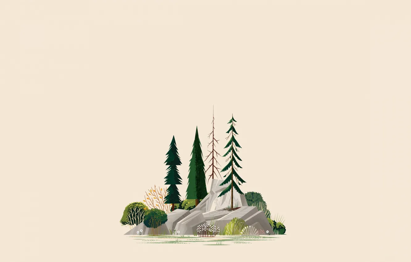 Photo wallpaper stones, tree, island, spruce