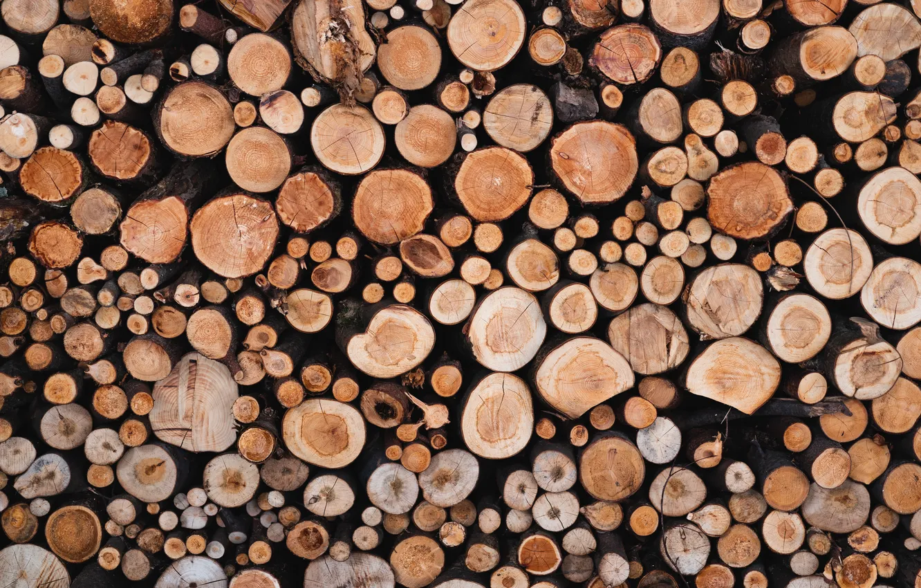 Photo wallpaper colors, wood, pattern