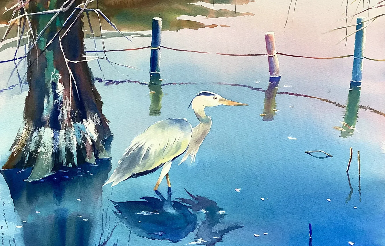 Photo wallpaper nature, pond, Heron