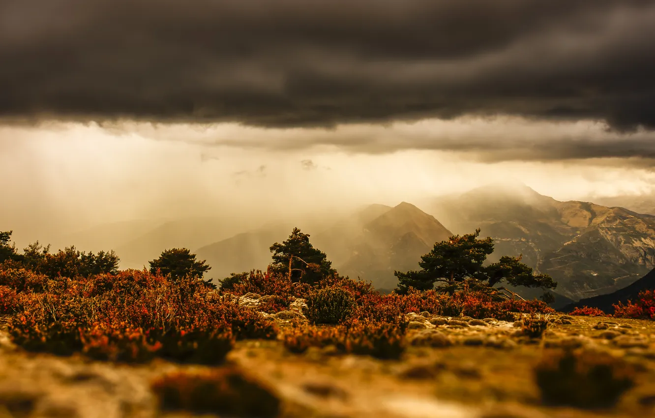 Photo wallpaper grass, the sun, mountains, gray clouds storm