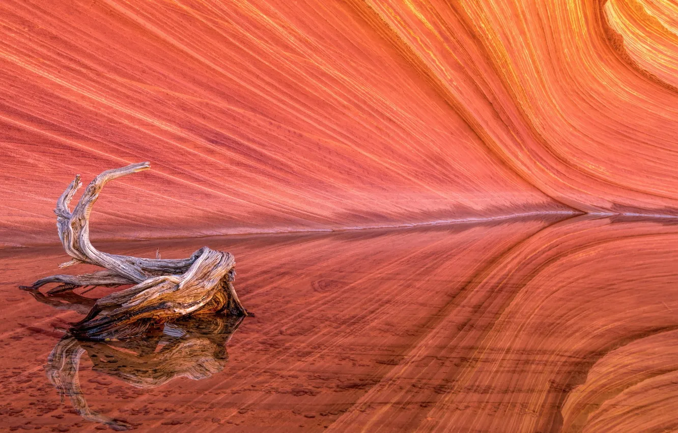 Photo wallpaper wave, Coyote Buttes, Red Rock