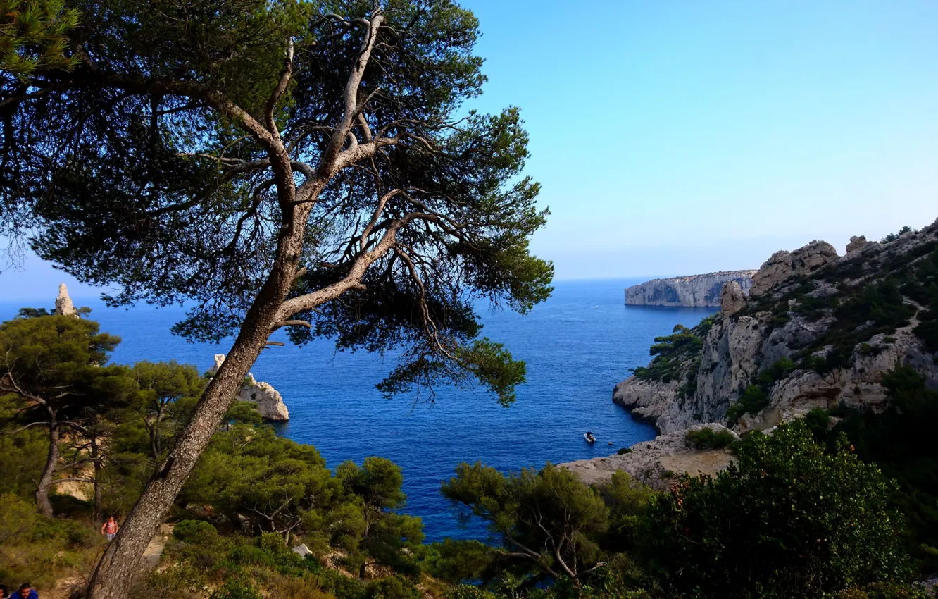 Photo wallpaper sea, trees, landscape, nature, rocks, coast, France