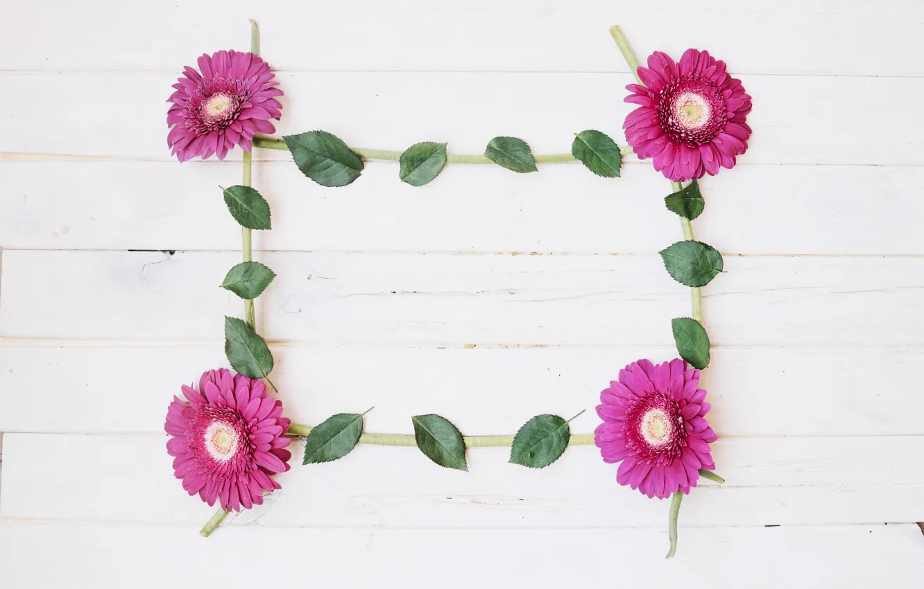 Photo wallpaper leaves, flowers, background, gerbera