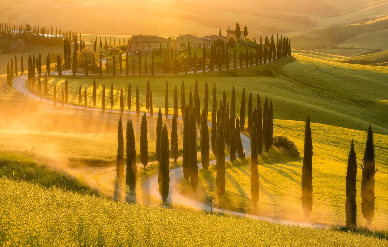Photo wallpaper field, light, fog, morning, meadow, Italy, Tuscany