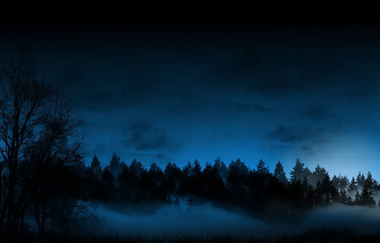 Photo wallpaper night, fog, Forest