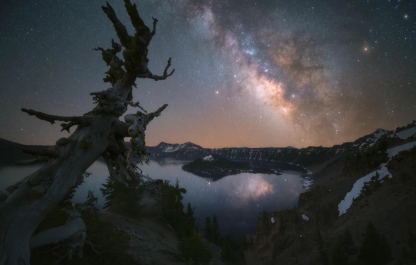 Photo wallpaper the milky way, reflection, snow, mountains, a dry tree, shore, starry sky, ate