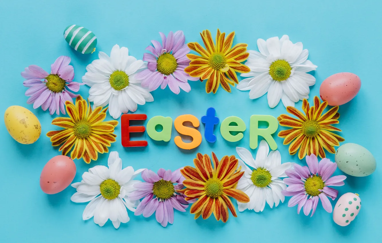 Photo wallpaper flowers, holiday, eggs, spring, Easter, chrysanthemum
