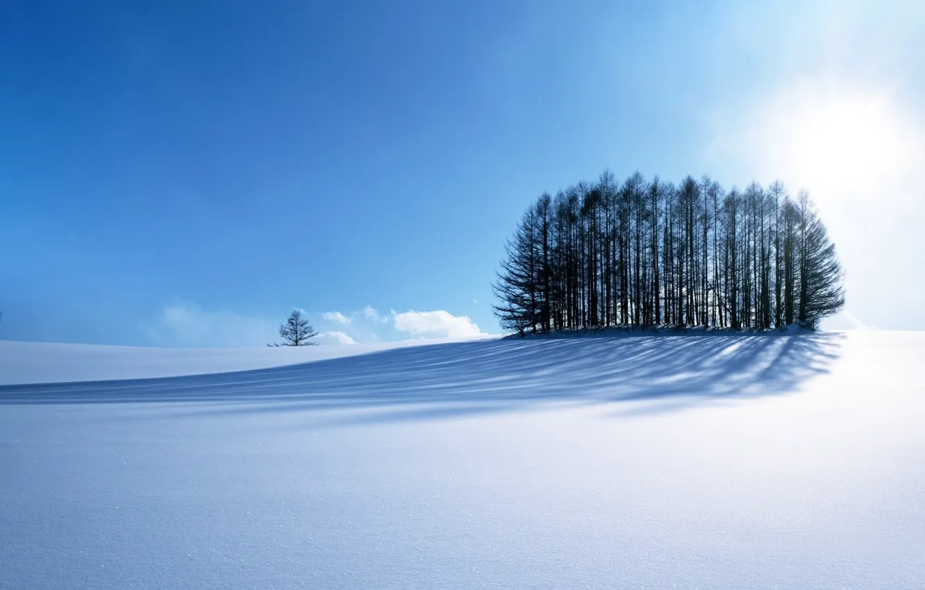 Photo wallpaper road, sky, trees, blue, winter, mountain, snow, sun