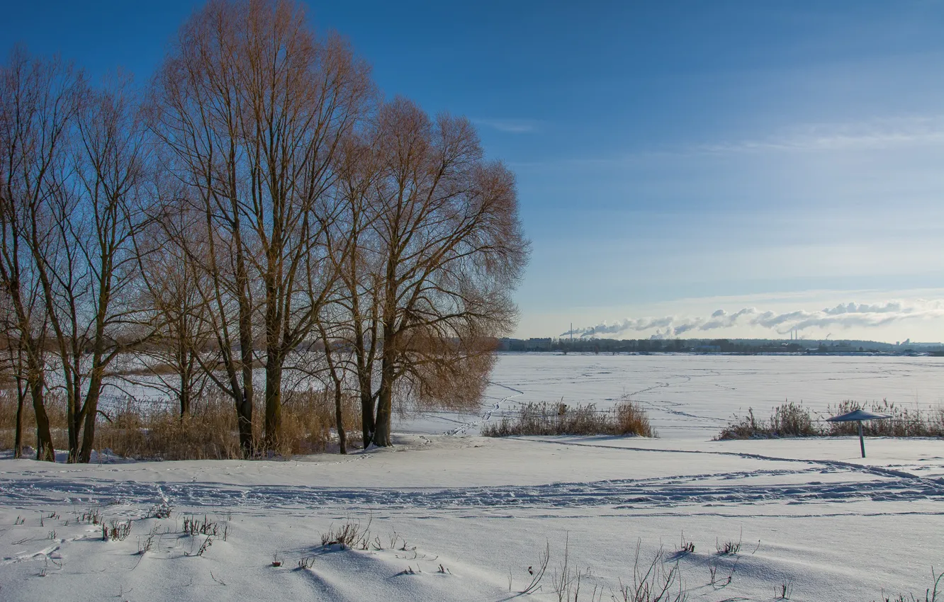 Photo wallpaper winter, landscape, nature, walk, Sunny day