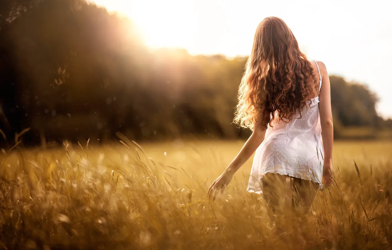 Photo wallpaper field, girl, girl, sunny, Sunny girl
