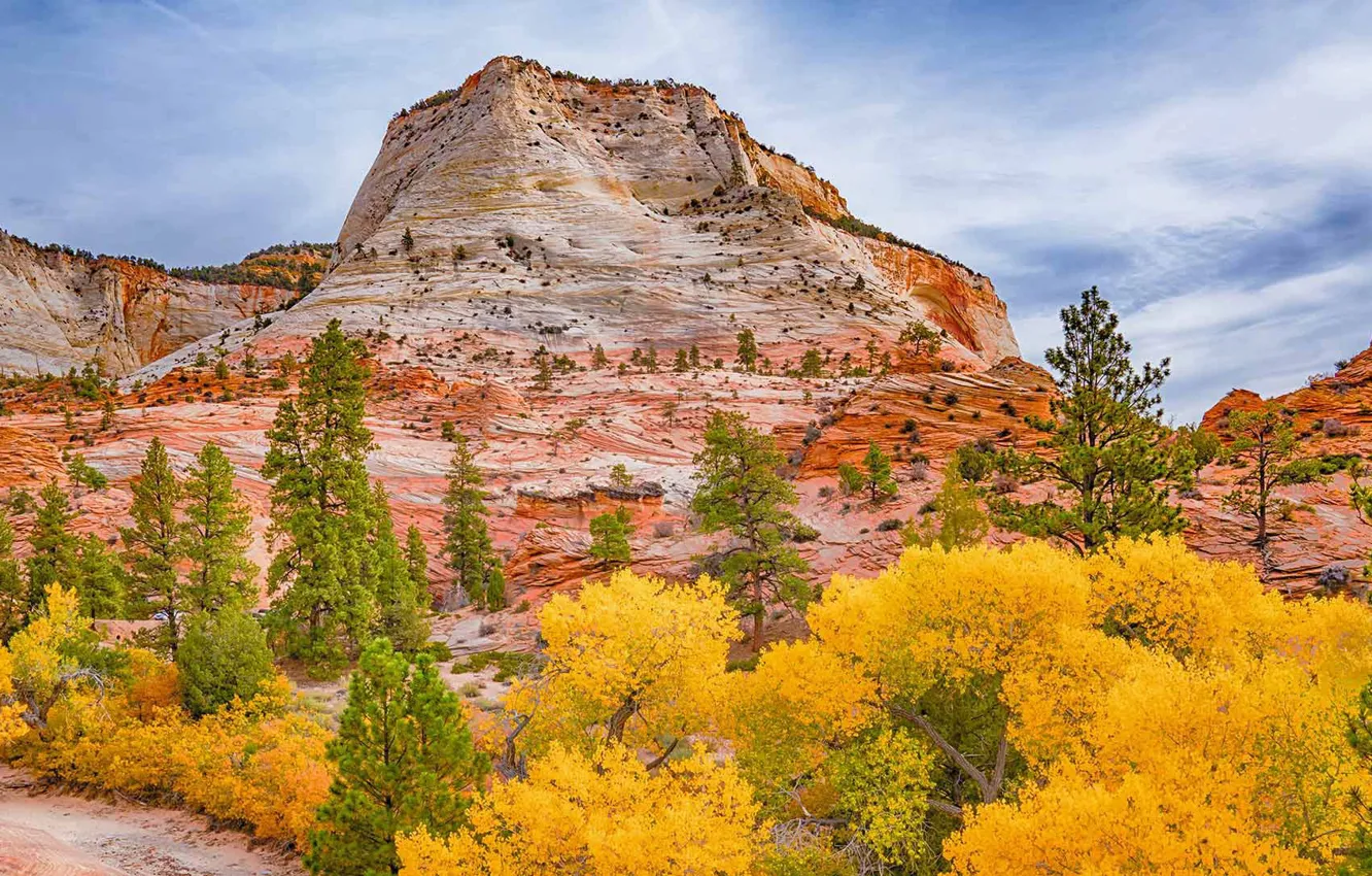Photo wallpaper autumn, rock, Utah, USA, Zion National Park