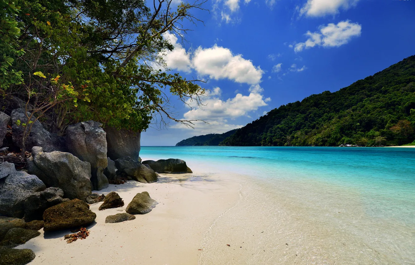 Photo wallpaper beach, summer, Islands, the ocean, jungle, resort