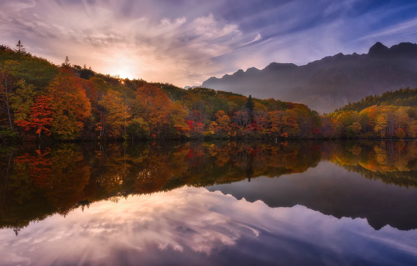 Photo wallpaper autumn, forest, the sky, the sun, clouds, trees, landscape, mountains
