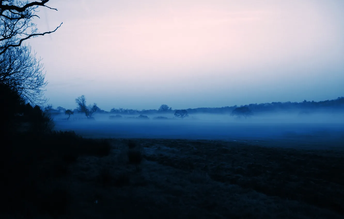 Photo wallpaper the sky, trees, fog, morning, silhouette