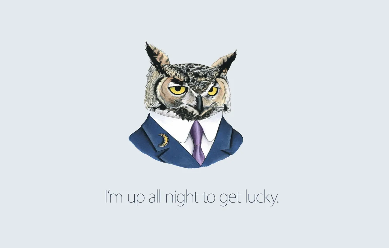 Photo wallpaper background, Owl, costume, tie, Daft Punk