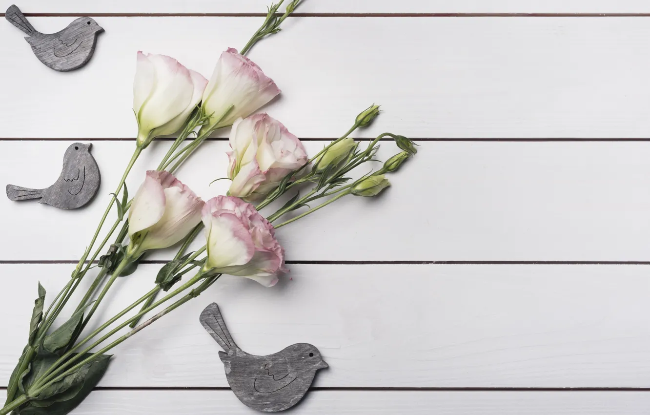 Photo wallpaper flowers, background, pink, flowers, eustoma, eustoma