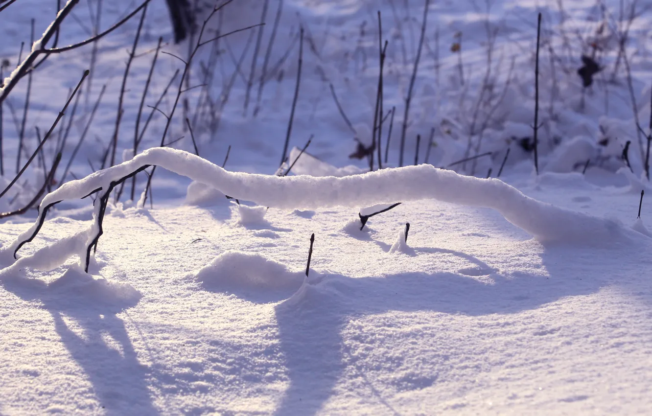 Photo wallpaper winter, snow, cold