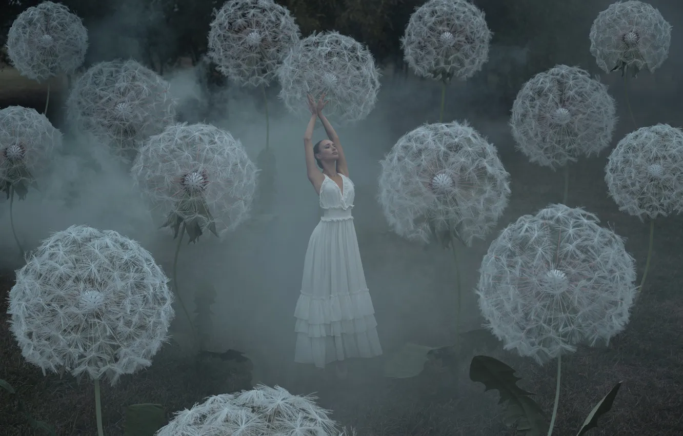 Photo wallpaper girl, flowers, nature, pose, fog, style, dandelion, glade