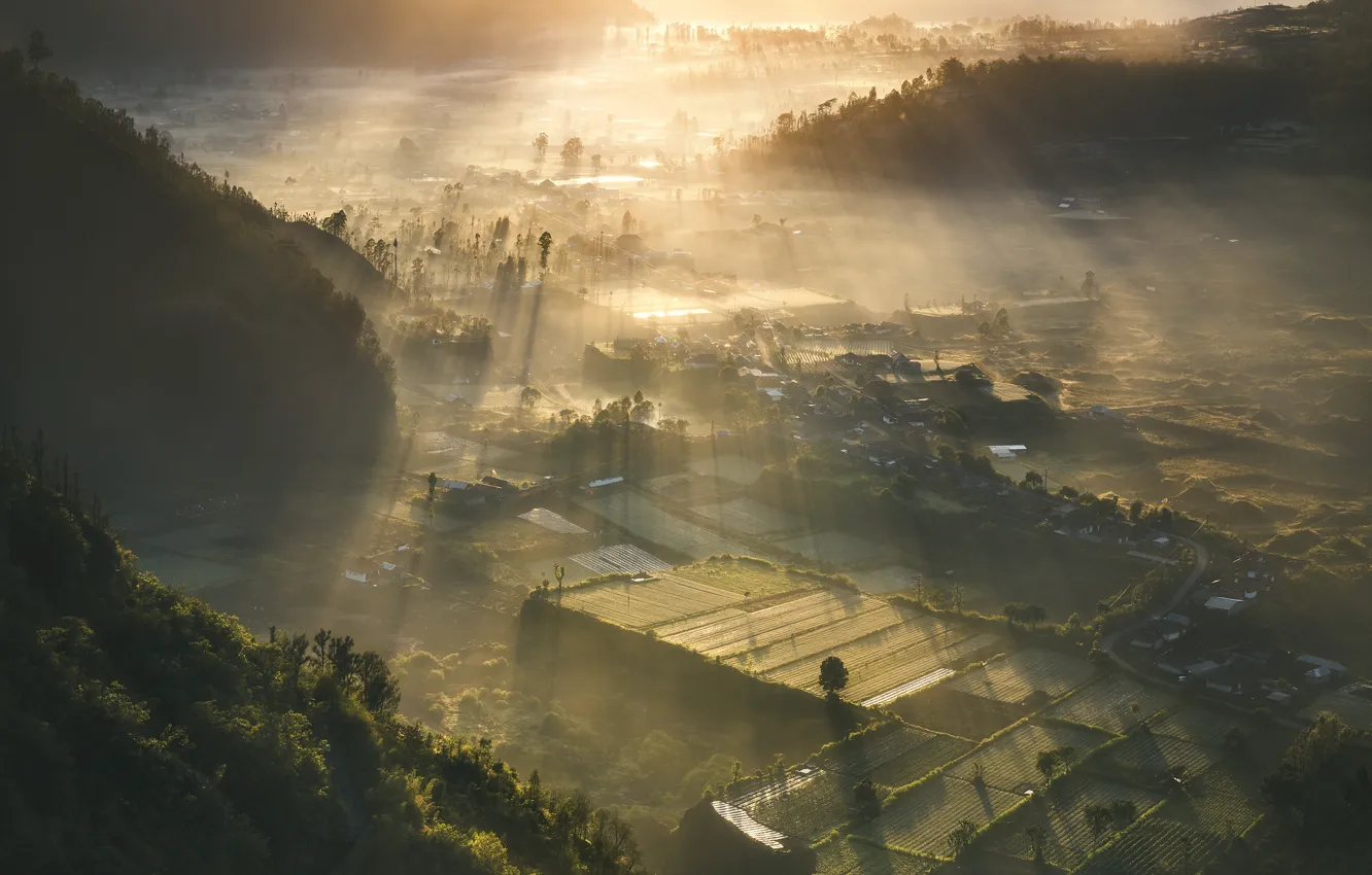 Photo wallpaper field, rays, fog, valley, fields, rays, fog, Valley