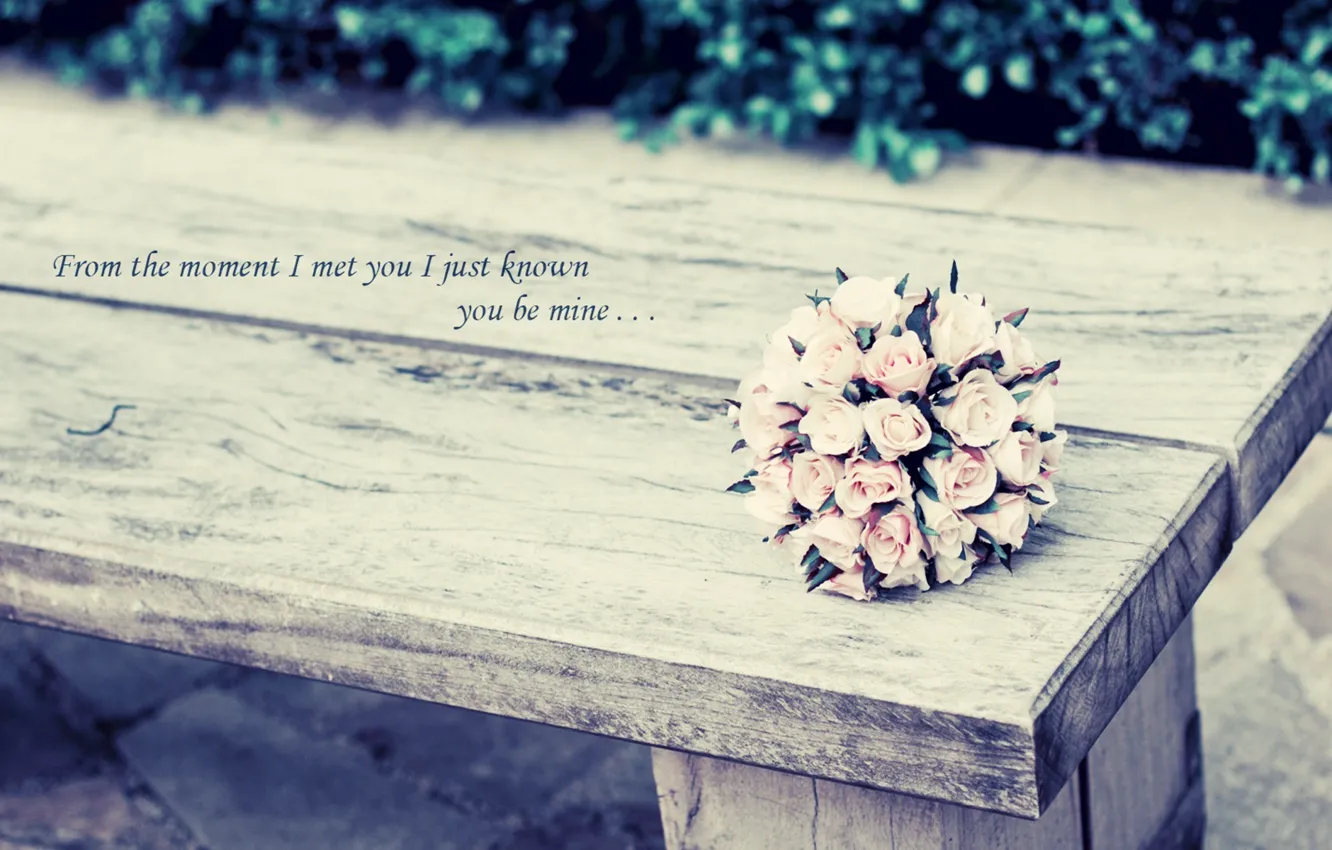Photo wallpaper greens, leaves, flowers, background, the inscription, Wallpaper, mood, roses