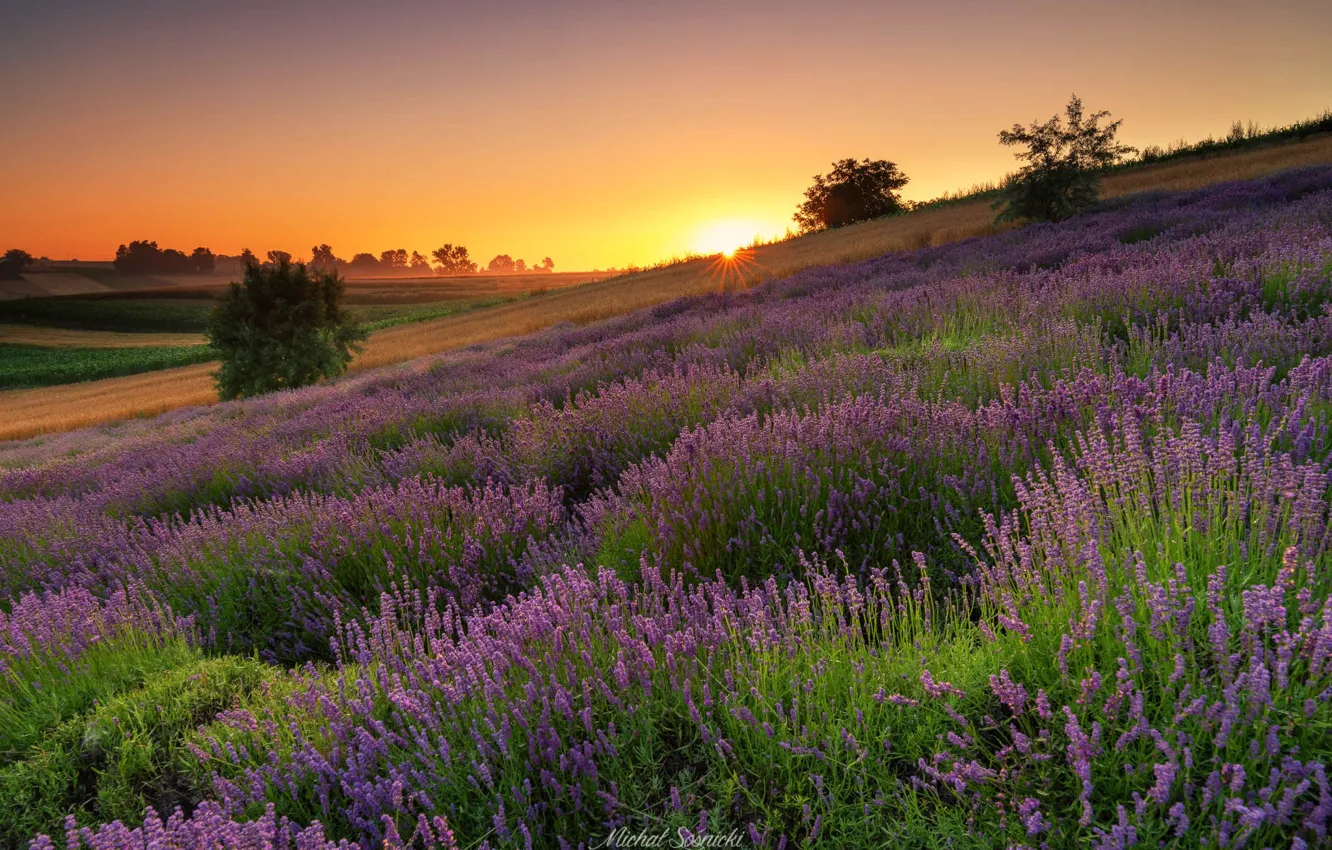 Photo wallpaper summer, the sun, rays, landscape, nature, sunrise, dawn, morning