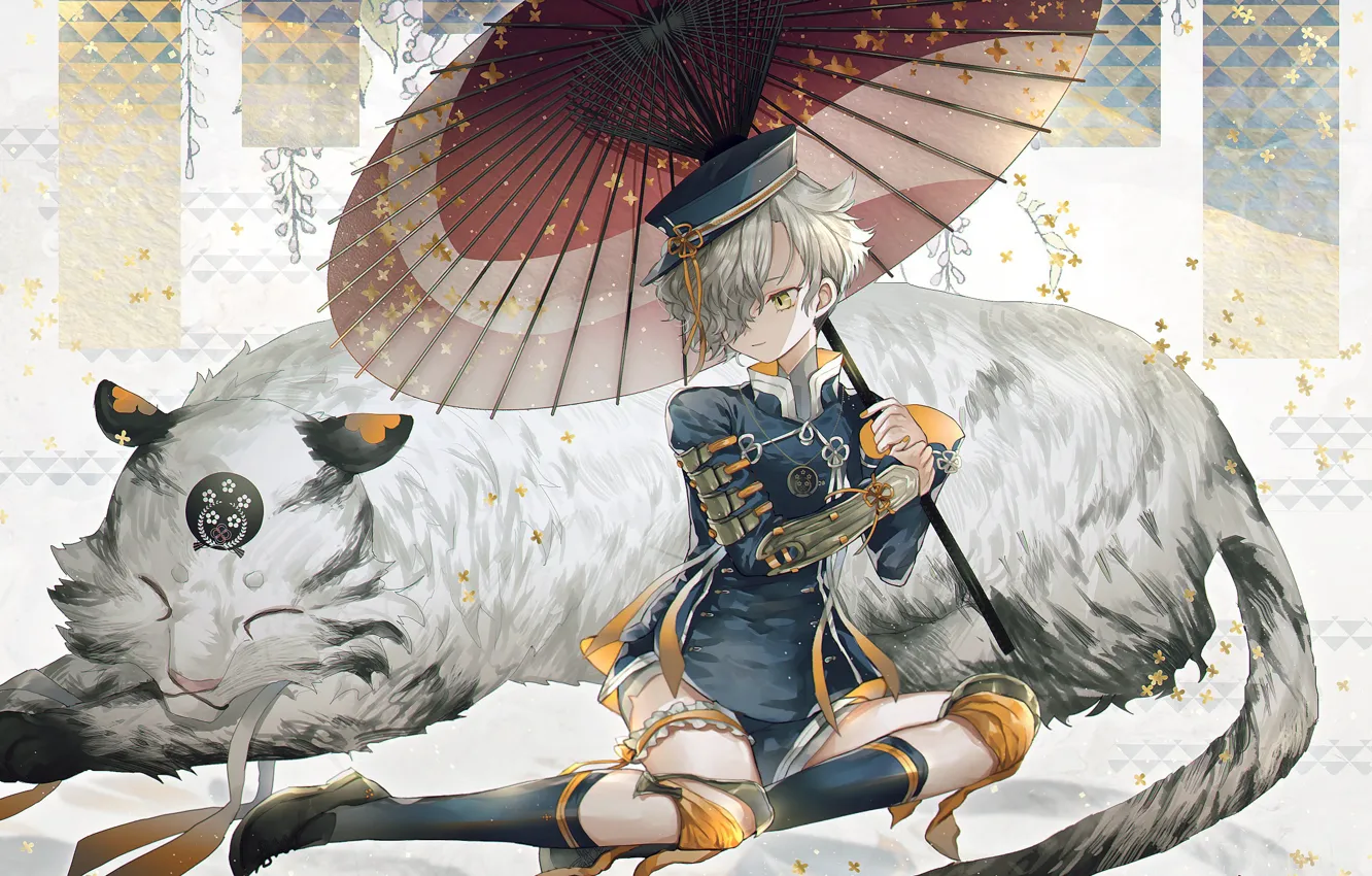 Photo wallpaper cat, tiger, boy, Touken Ranbu, Dance of swords