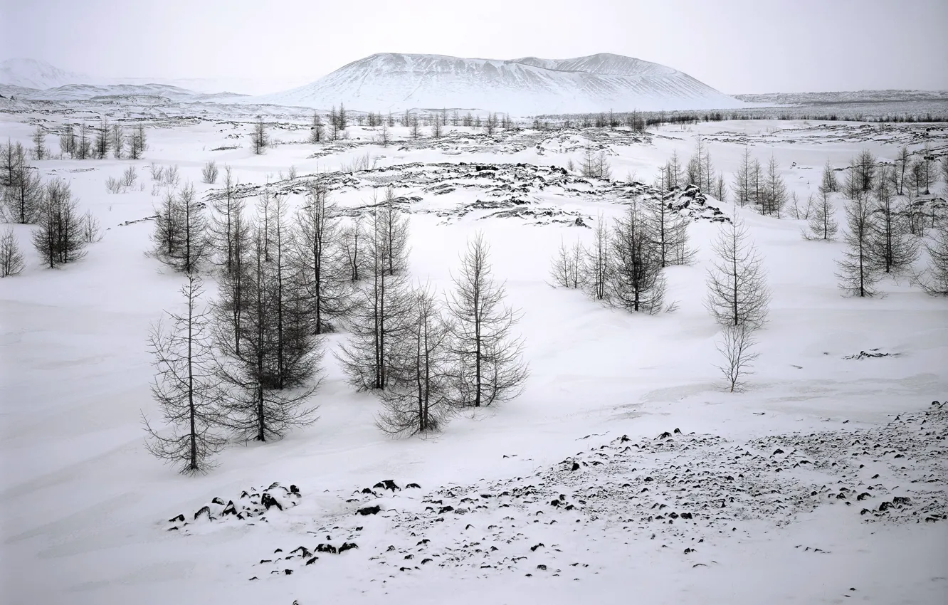 Photo wallpaper winter, snow, nature, mountain