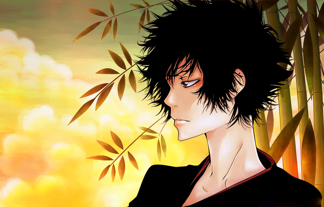 Photo wallpaper anime, samurai, guy, Mugen, samurai Champloo