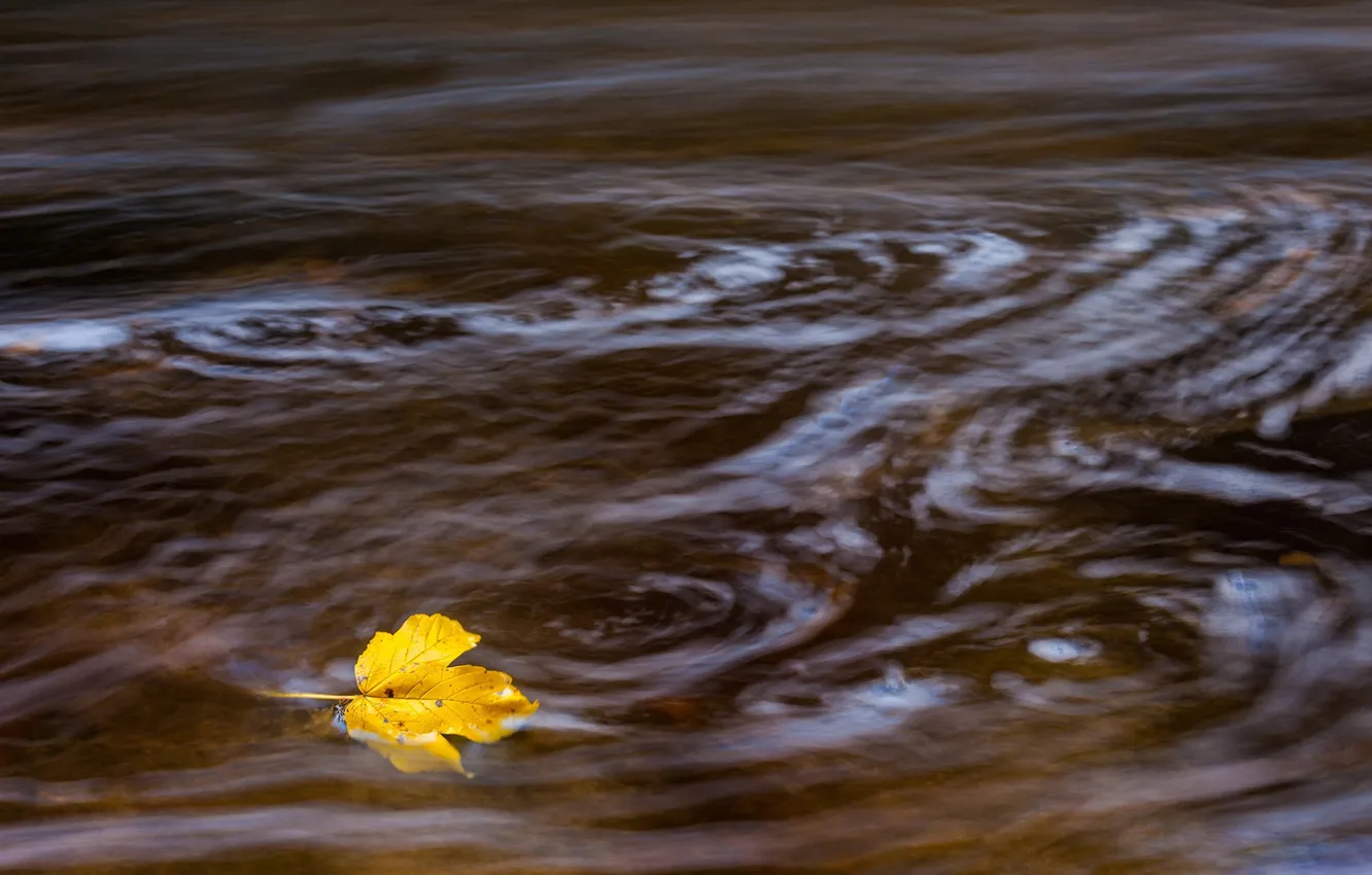 Photo wallpaper autumn, sheet, river