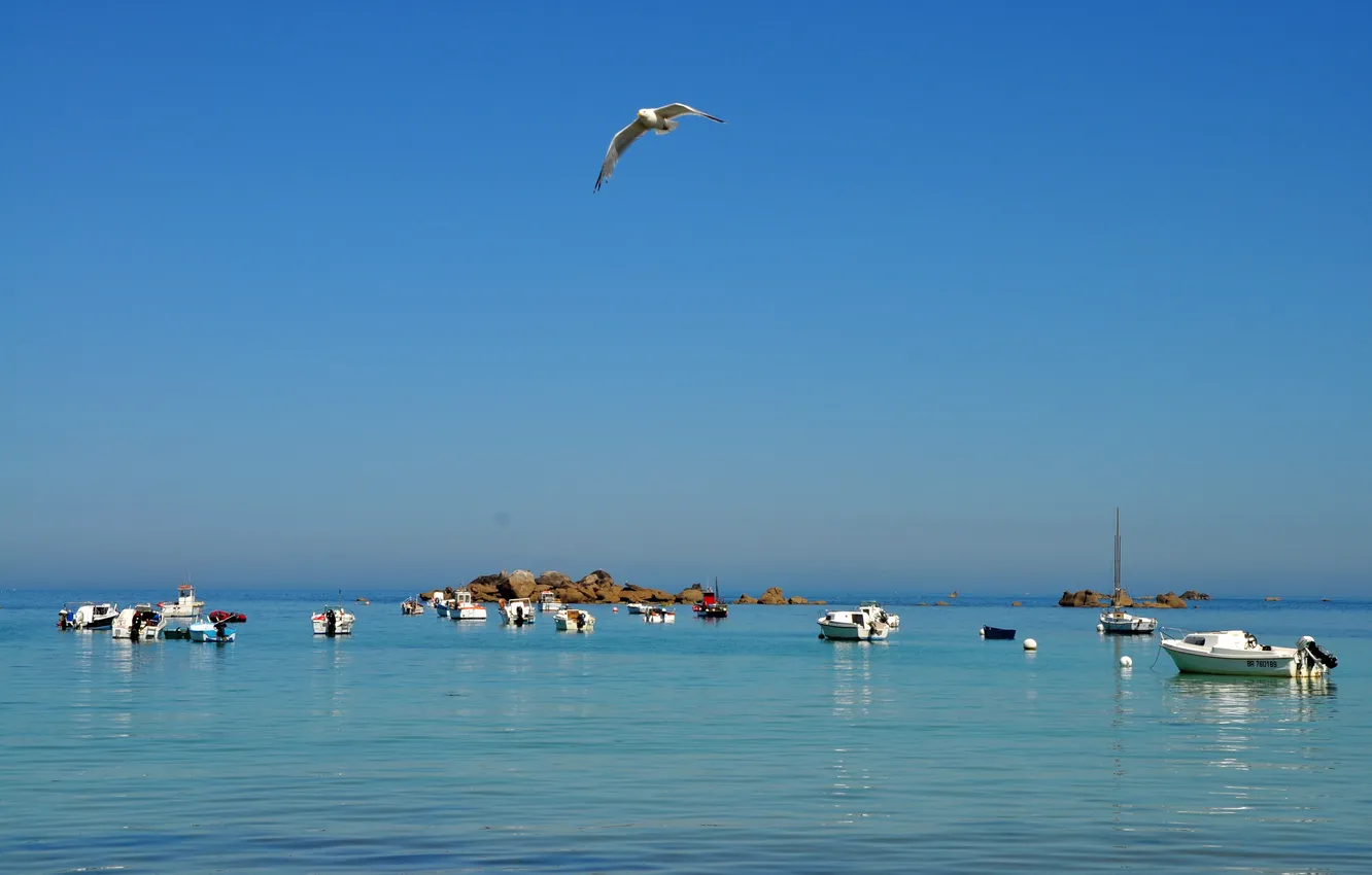 Photo wallpaper sea, the sky, stones, bird, boat