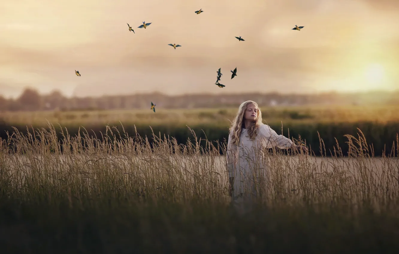Photo wallpaper field, the evening, girl