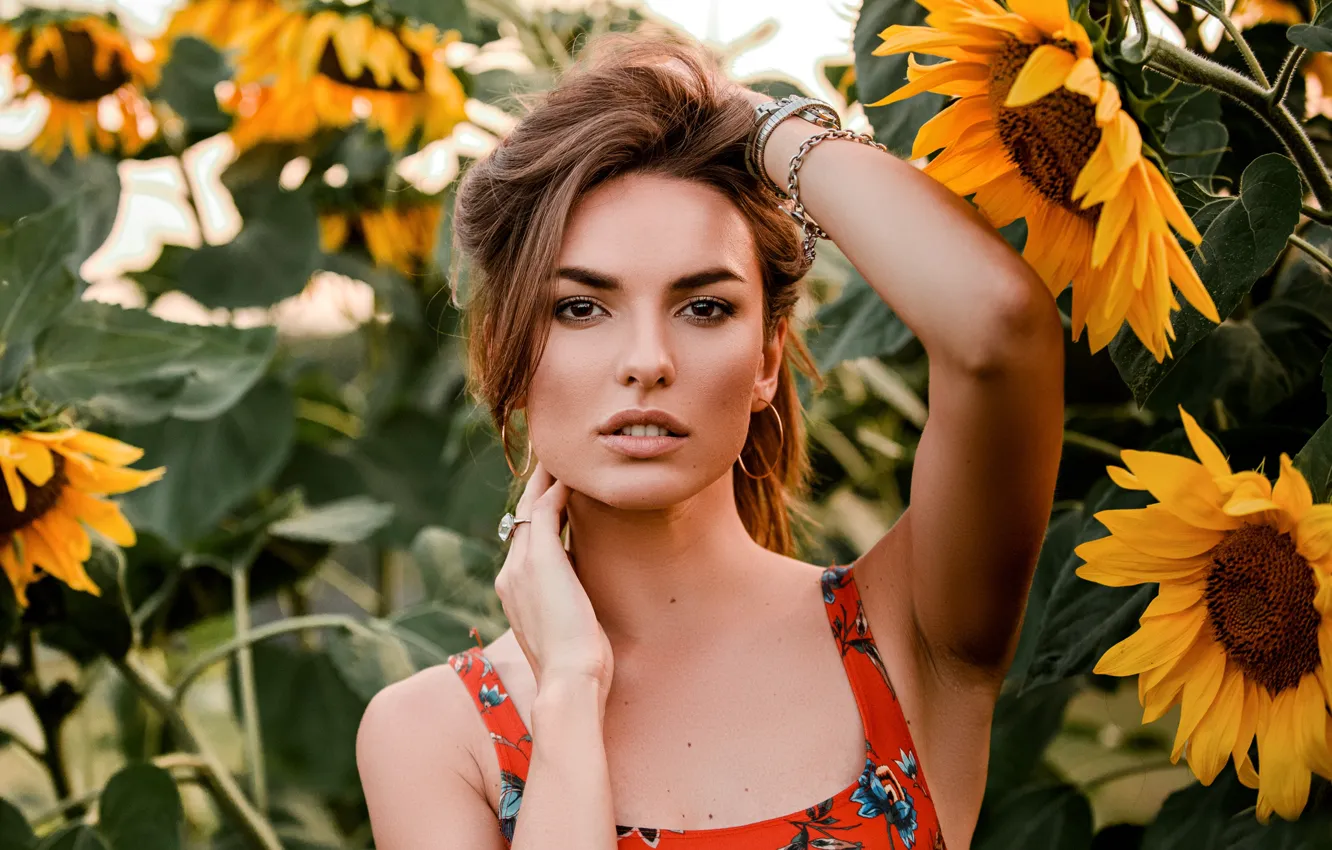 Photo wallpaper look, sunflowers, face, hands, Catherine, Eugene Marklew
