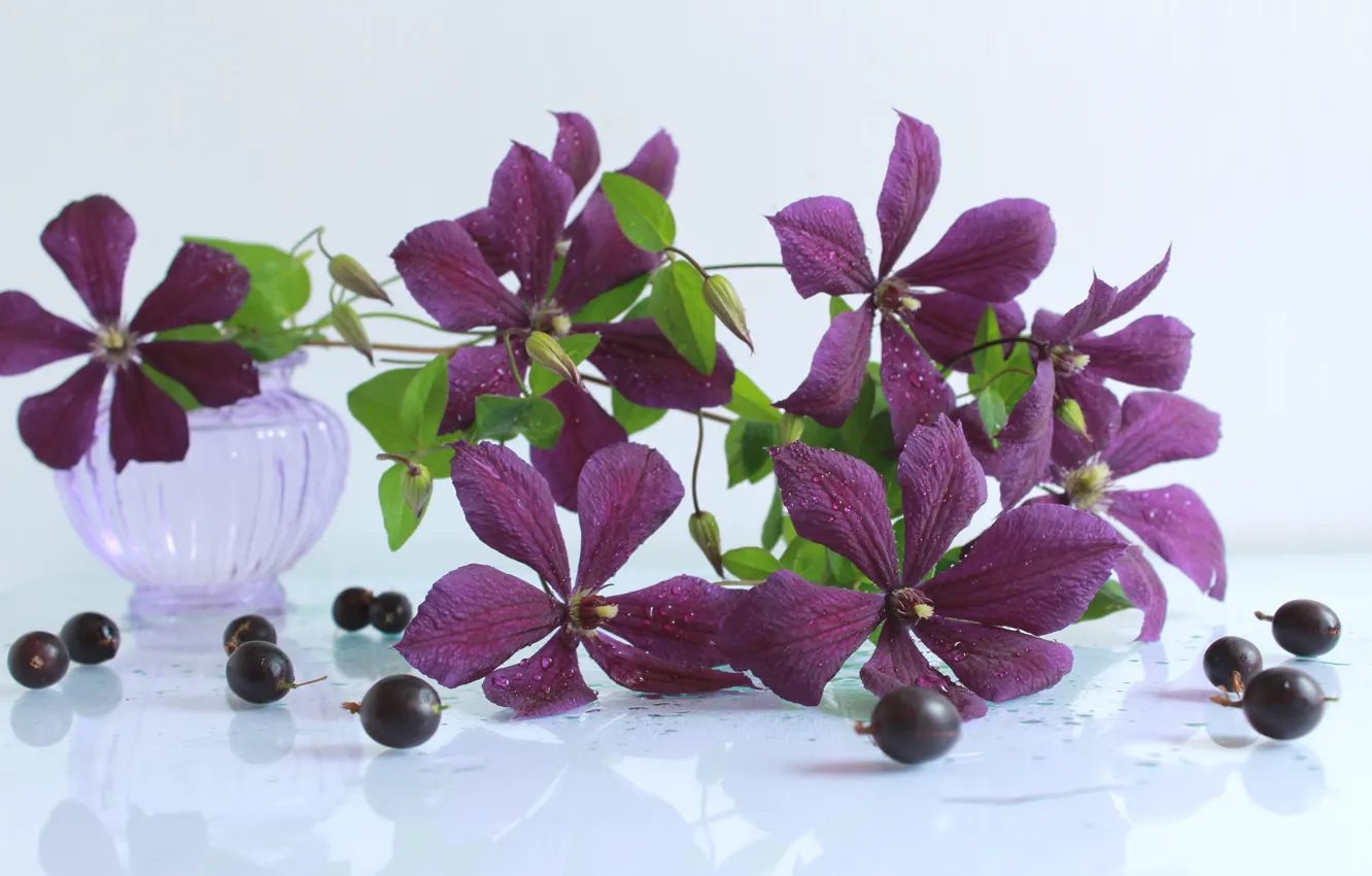 Photo wallpaper Violet, gooseberry, clematis