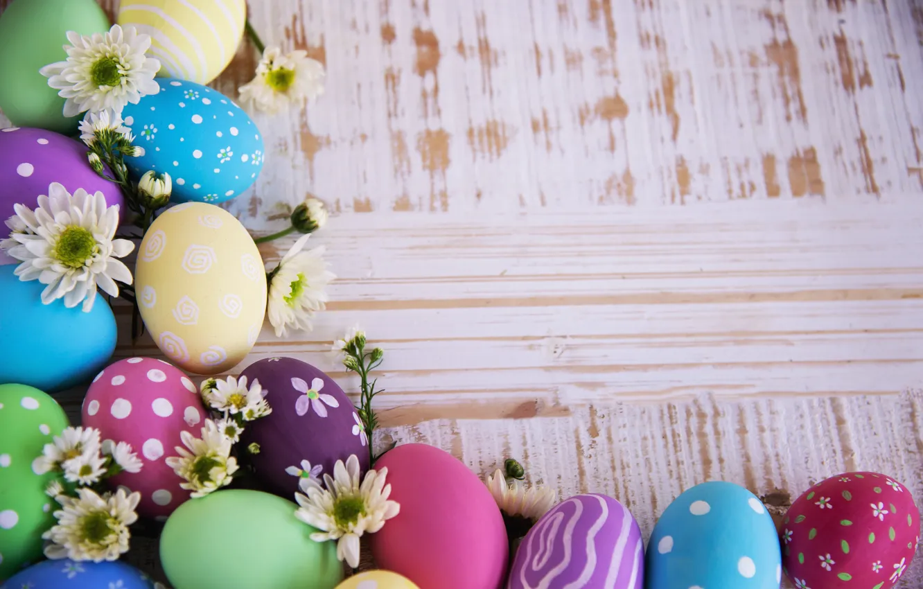 Photo wallpaper holiday, eggs, Easter, chrysanthemum