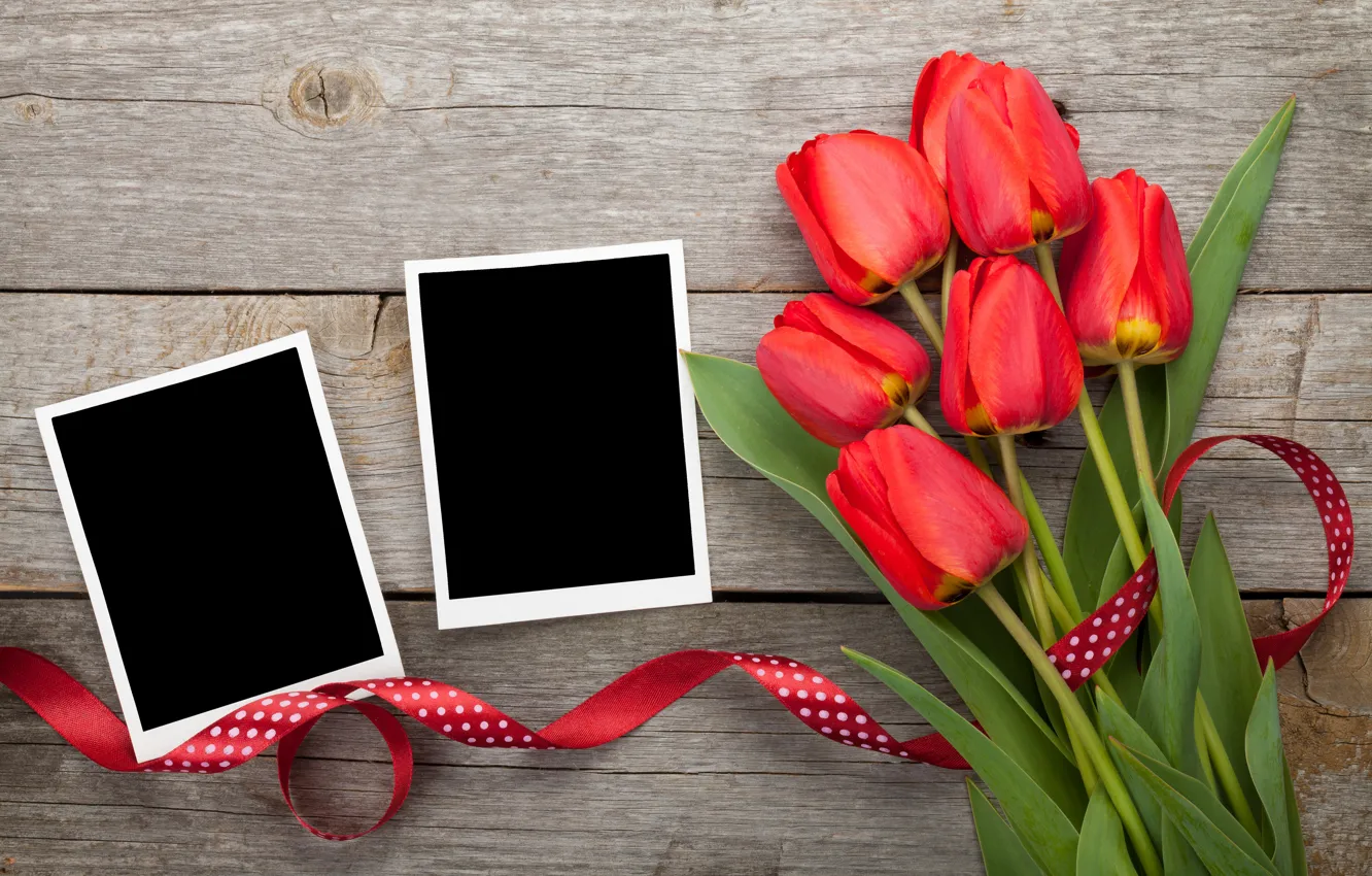Photo wallpaper bouquet, tulips, red, tulips