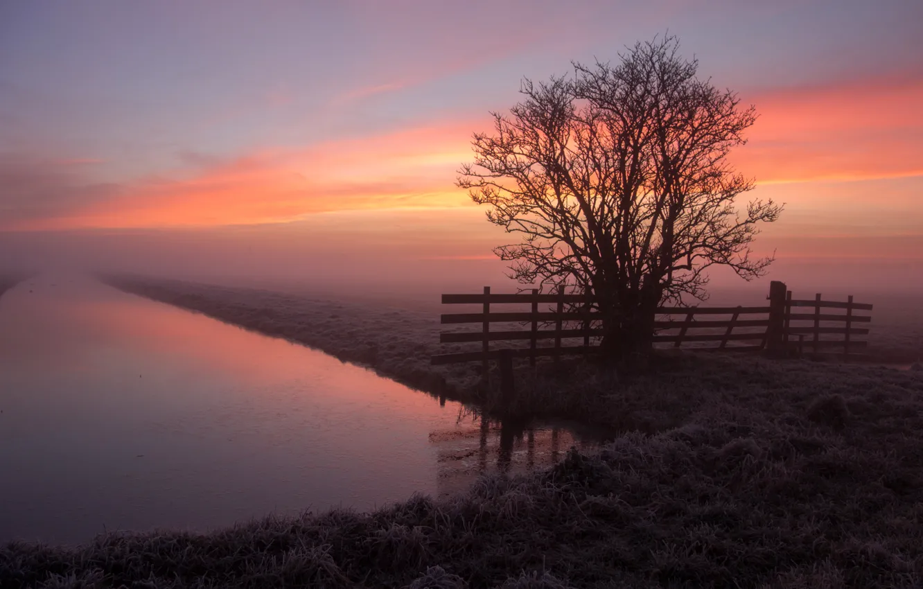 Photo wallpaper water, tree, fog, fence, sunrise, frost