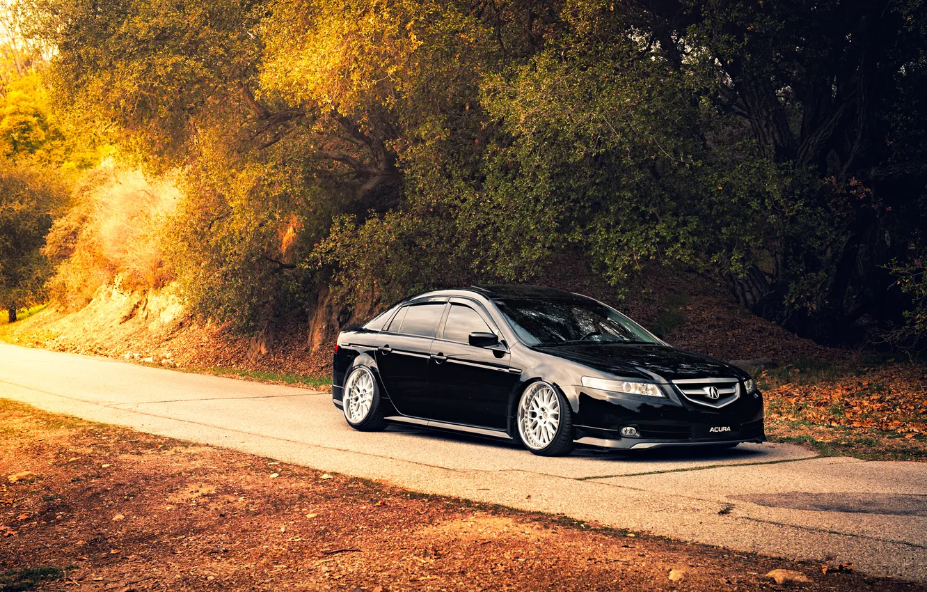 Photo wallpaper autumn, black, tuning, Honda, Accord, Honda, chord, Acura